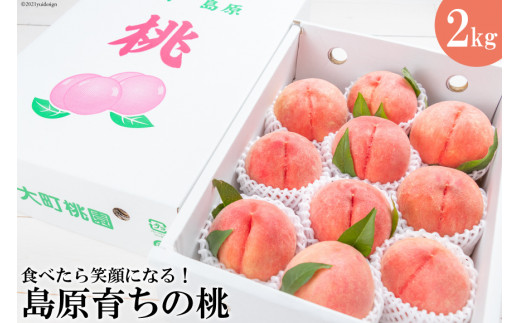 y茧szDG091yߘa8NxoוzHׂΊɂȂI炿̓ 2kgʌ聄 [  t[c ʕ  茧 s]