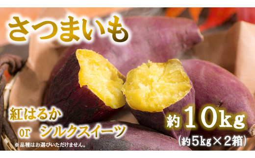 Ag01 さつまいも 蜜芋 なごみ町産 熊本県和水町 ふるさと納税 ふるさとチョイス