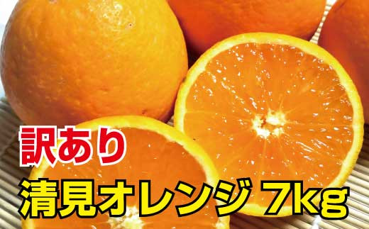 ＼光センサー選別／ 【訳あり】清見オレンジ　約7kg　ご家庭用　※2022年3月上旬より順次発送予定（お届け日指定不可）