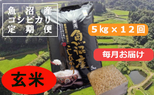 魚沼産コシヒカリ・棚田米 玄米5kg×12回（毎月） - 新潟県小千谷市 