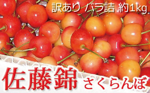 [No.5657-2554]佐藤錦 さくらんぼ 訳あり 約1kg（バラ詰）《黒岩果樹園》■2024年発送■※6月中旬頃～7月上旬頃まで順次発送予定