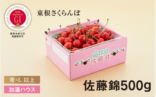 Gi 東根さくらんぼ 超先取り 加温ハウス栽培 佐藤錦500gバラ詰め Ja園芸部提供 21年4月下旬 5月中旬送付 秀 着色面積70 以上 L 直径22mm 以上 E 1511 山形県東根市 ふるさと納税 ふるさとチョイス