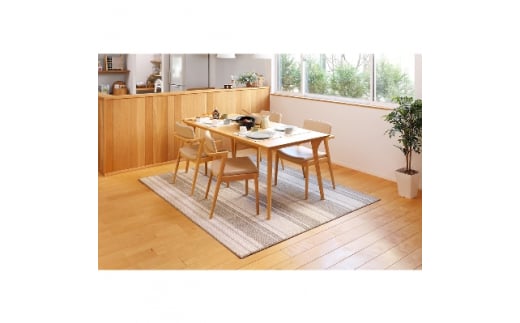 y{Îsz{ Eh J[ybg AC{[ 1 240×330cm 600022212^[1129]