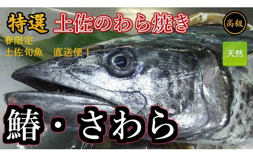 M137 21春限定 絶品 鰆 さわら のわら焼きたたき 高知県東洋町 ふるさと納税 ふるさとチョイス