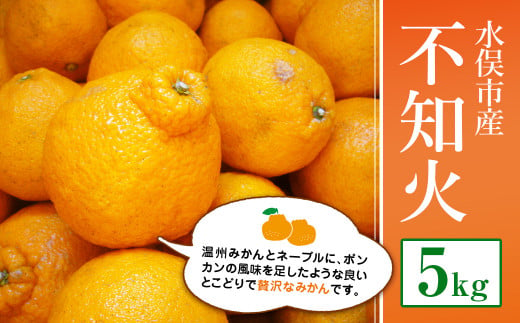 不知火 デコポン 5kg みかん オレンジ 柑橘 熊本県水俣市 ふるさと納税 ふるさとチョイス