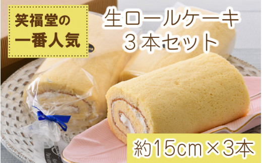 023 A003 人気 生ロールケーキ 3本入りセット 福井県敦賀市 ふるさと納税 ふるさとチョイス