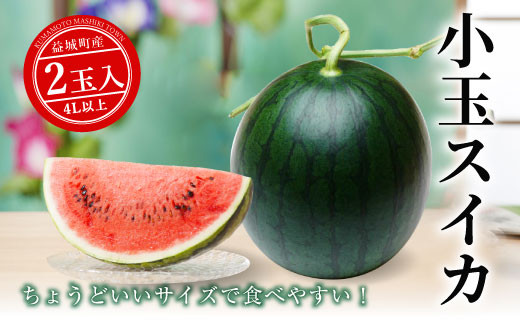 小玉 スイカ 4l以上 2玉入 西瓜 熊本県産 野菜 フルーツ 熊本県益城町 ふるさと納税 ふるさとチョイス