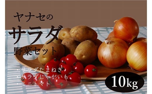 【北海道津別町】サラダ野菜セット　約10kg　ヤナセ農園/012-27092-b01A