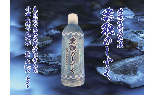 雲取のしずく ナチュラルミネラルウォーター 軟水 500ml 24本 山梨県丹波山村 ふるさと納税 ふるさとチョイス