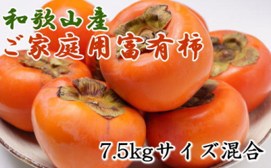 【和歌山県海南市】和歌山産富有柿ご家庭用約7.5kg