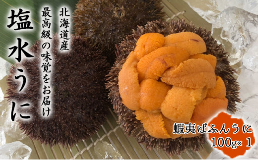5863 02 入荷次第出荷 北海道産塩水うに 蝦夷ばふんうに 100g １ 北海道厚岸町 ふるさと納税 ふるさとチョイス