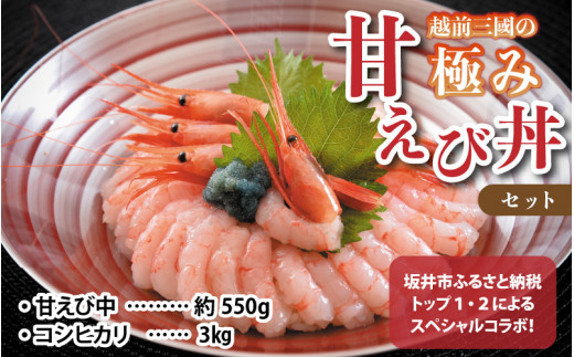 越前三國の極み甘えび丼セット 全国ランキング常連の甘えびとコシヒカリのコラボ A 2304 福井県坂井市 ふるさと納税 ふるさとチョイス