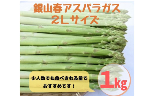 銀山春アスパラガス2lサイズ 1kg 極太 令和3年産 d 山形県尾花沢市 ふるさと納税 ふるさとチョイス