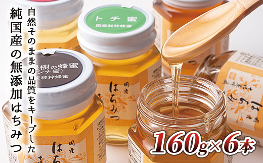 015 Y30 十勝養蜂園 国産はちみつ小瓶食べ比べセット 160g 6本 北海道上士幌町 ふるさと納税 ふるさとチョイス