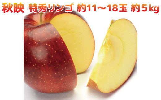 No.5657-2673]秋映 特秀リンゴ 約11～18玉 約5kg 《黒岩果樹園》□2023