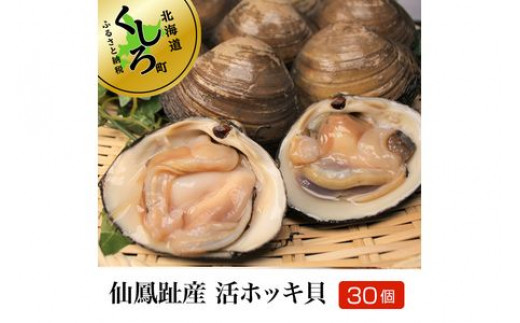 仙鳳趾産 活ホッキ貝 140 160g 30個 出荷時期 21年11月 12月ごろ発送 北海道釧路町 ふるさと納税 ふるさとチョイス