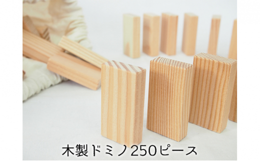 こだわりの木材でつくる！木製ドミノ 250ピース - 北海道赤平市 ...