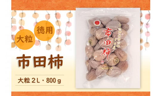 TS02-24A 南信州産 市田柿 2Lサイズ 800g（ご家庭用大袋）//長野県 南 