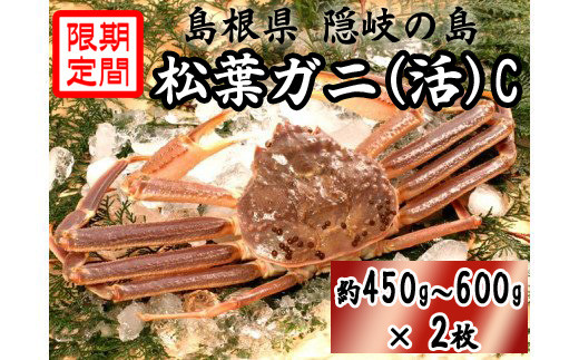 サンプル写真