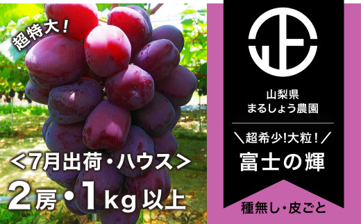 7月発送】ハウス 富士の輝 2房1.0㎏以上 ブラックシャイン 黒い