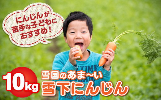 y茧ksz y2026N1\zፑ̂܁[ቺɂ񂶂 10kg lQ̑q̂߂ɊJI  lQ Â k̖ ʖ H 茧ks D0145