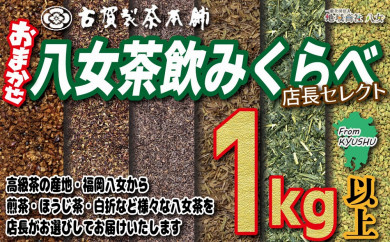 【福岡県八女市】創業200年の老舗・古賀製茶本舗 【店長おまかせ】いろんな八女茶１kg