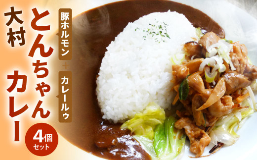 大村とんちゃん カレー 300g 4個セット ホルモンカレー 40pt 長崎県大村市 ふるさと納税 ふるさとチョイス