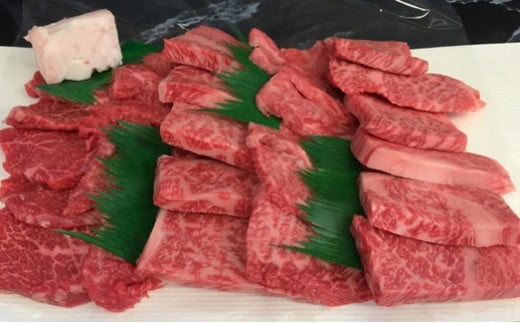 名産神戸肉旭屋　たかさご本店の神戸牛焼肉セット「彩り」 500g　神戸ビーフ　神戸ビーフブランド　高級和牛　神戸肉おすすめ