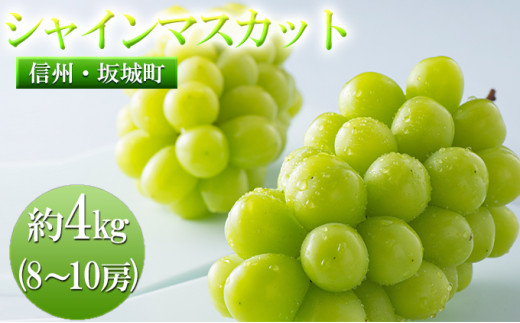 糖度抜群！長野県産シャインマスカット 4kg - フルーツ