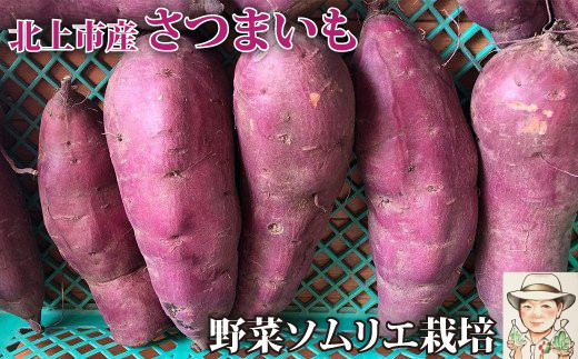 【2021/10月中旬~発送予定】 野菜ソムリエ齋藤セレクト「新」秋セット