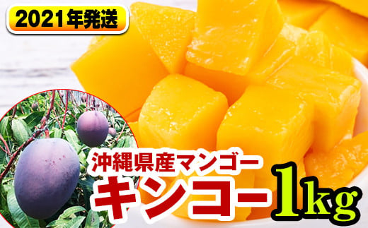 21年発送 南国の果物 沖縄県産マンゴー キンコー 1kg 沖縄県南風原町 ふるさと納税 ふるさとチョイス