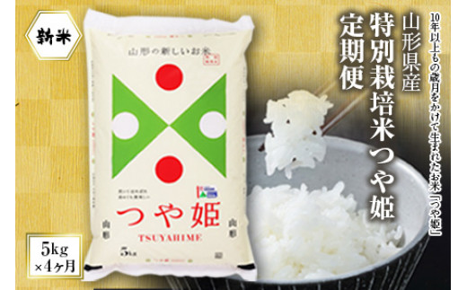 山形県産特別栽培米つや姫定期便4回(つや姫5kg×4ヶ月) つやひめ 山形 定期便 米 精米 白米 弁当 ごはん ご飯 コメ おにぎり 送料無料  プレゼント ギフト ふるさと納税 山形県 F2Y-4016 - 山形県｜ふるさとチョイス - ふるさと納税サイト