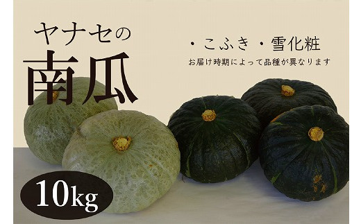 R5年産 南瓜 約10kg ヤナセ農園/012-27091-b01A - 北海道津別町