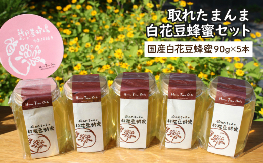 【022-0003】採れたまんまの白花豆蜂蜜90g×5本セット