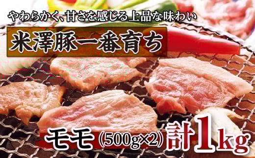 yR`zV؈Ԉ炿 ēp F2Y-0696