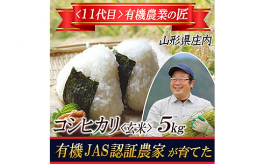 令和5年産庄内米「はえぬき5kg」と山形名物いも煮仕立ての「いも煮