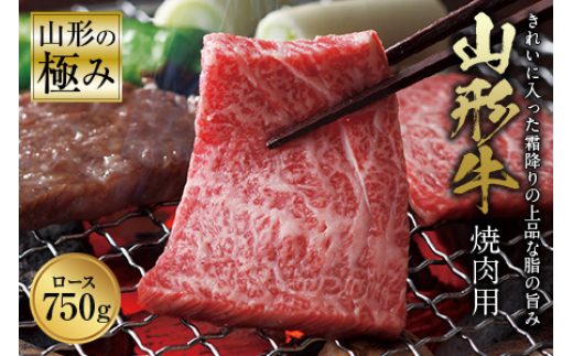 yR`zR`̋ɂ R` ēp F2Y-0977