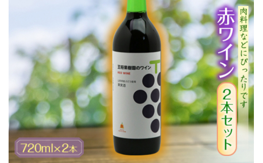 yR`zԃC2{Zbg F2Y-1306