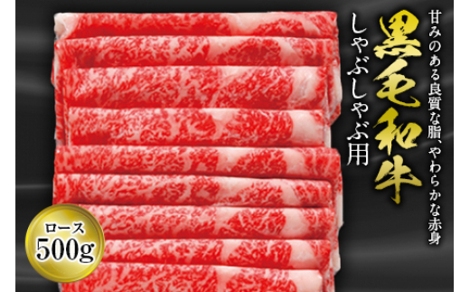 yR`zјa Ԃԗp F2Y-0381