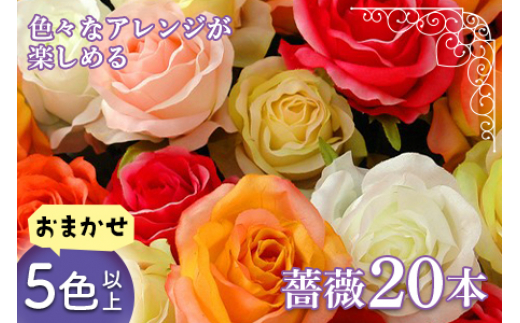 旬の薔薇おまかせ5色以上本 名産地山形 F2y 1644 山形県 ふるさと納税 ふるさとチョイス