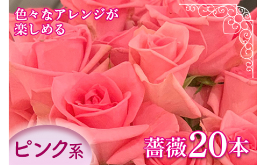 旬の 薔薇本 薔薇名産地山形 ピンク系 F2y 1641 山形県 ふるさと納税 ふるさとチョイス