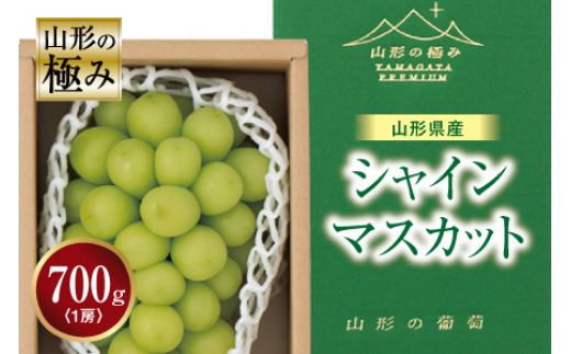 先行予約 山形の極み 山形県産 シャインマスカット F2y 1149 山形県 ふるさと納税 ふるさとチョイス