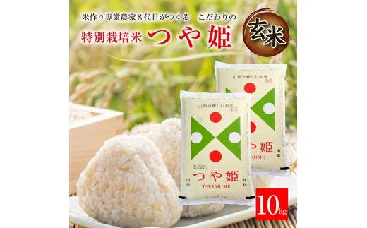 SA1724　令和5年産【玄米】特別栽培米 つや姫　10kg(5kg×2袋)「農家直送」 KA