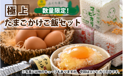 坂井市産極上たまごかけご飯セット ～坂井平野の恵み～ [A-1204