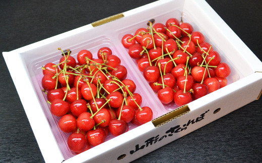 さくらんぼ様 08-10-021 さくらんぼ(佐藤錦)700g - 山形県天童市｜ふるさとチョイス