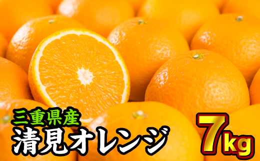 三重県産 清見オレンジ（きよみ） ７kg【出荷目安：３月中旬〜４月中旬