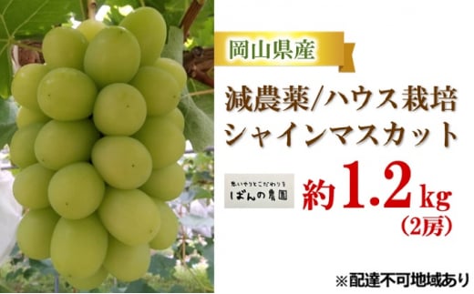 ぶどう 2025年 先行予約 シャイン マスカット 約1.2kg 2房 減農薬／ハウス栽培 ブドウ 葡萄 岡山県産 国産 フルーツ 果物 ギフト  ばんの農園 - 岡山県里庄町｜ふるさとチョイス - ふるさと納税サイト