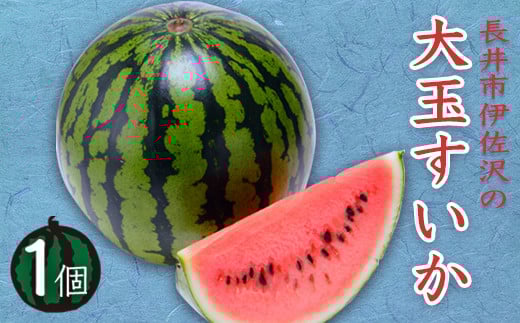 yR`szy2026Nzsɍ̑ʂ6`8kg×1_H055(R8)