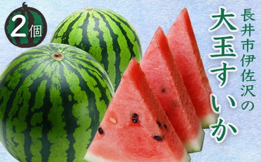 yR`szy2026Nzsɍ̑ʂ8`11kg×2_H054(R8)