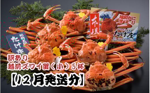 y䌧szydbAňSz 󂠂䥂ŁzOYCI() 5ty2025N12z [J-1605_12]